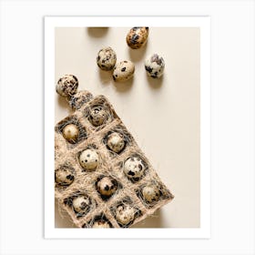 Quail Eggs 22 Art Print