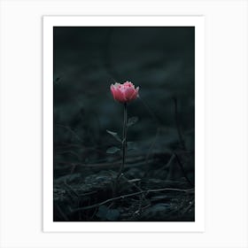 Rose In The Dark 35 Art Print