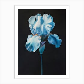 2024 May Poster Canvas Sng Iris 19 Art Print