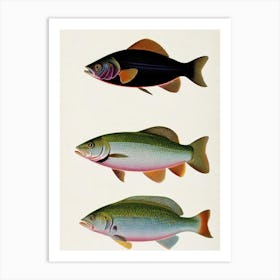 Herring Vintage Poster Art Print