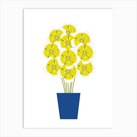Meadowfoam Flowers in Vase Art Print