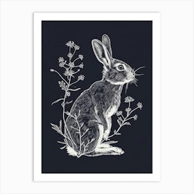 Argente Rabbit Minimalist Illustration 2 Art Print