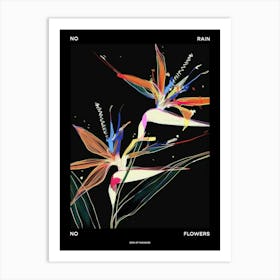 No Rain No Flowers Poster Bird Of Paradise 1 Art Print