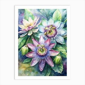 7 Passionflowers With Intricate Patterns (1) Art Print