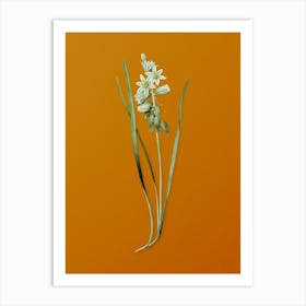 Vintage Drooping Star-of-Bethlehem Botanical on Sunset Orange n.0791 Art Print