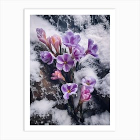 Beautiful Winter Flowers 48 Art Print