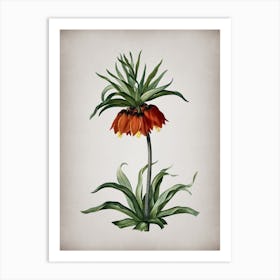 Vintage Fritillaries Botanical on Parchment n.0495 Art Print