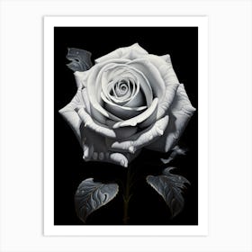 White Rose Art Print