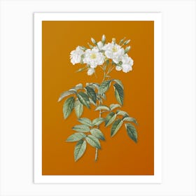 Vintage Musk Rose Botanical on Sunset Orange n.0758 Art Print
