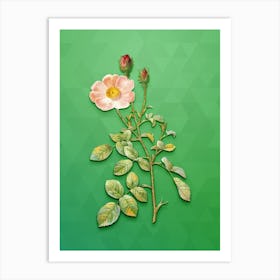 Vintage Sparkling Rose Botanical Art on Classic Green n.0289 Art Print
