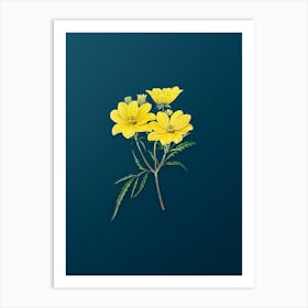 Vintage Golden Coreopsis Flower Botanical Art on Teal Blue n.0752 Art Print