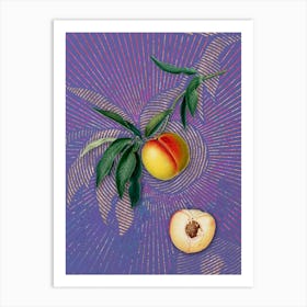 Vintage Peach Botanical Illustration on Veri Peri n.0161 Art Print