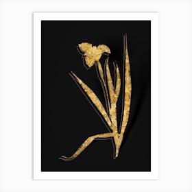 Vintage Tiger Flower Botanical in Gold on Black Art Print