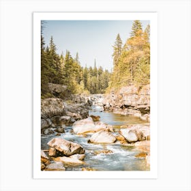 Creek In Mountains Art Print