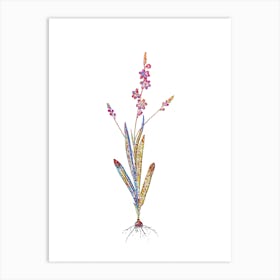 Stained Glass Ixia Scillaris Mosaic Botanical Illustration on White Art Print