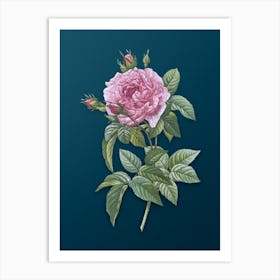Vintage Pink French Rose Botanical Art on Teal Blue n.0232 Art Print