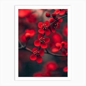 Red Flowers Wallpaper Art Print