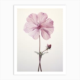 Pressed Flower Botanical Art Geranium 1 Art Print