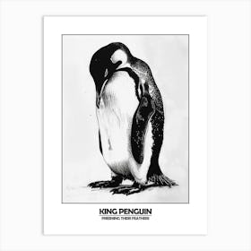 Penguin Preening Their Feathers Poster 7 Art Print