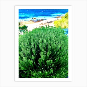 Natural Flora Found At the Beach and Ocean Art Print