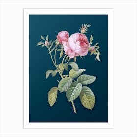 Vintage Pink Cabbage Rose de Mai Botanical Art on Teal Blue n.0321 Art Print