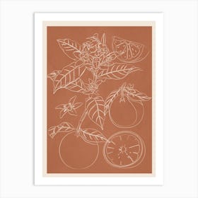 Oranges Line Art Art Print