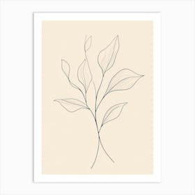 Drawing Of A Leaf 6 Art Print