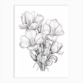 Freesias Flower Vintage Botanical 1 Art Print