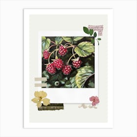 Scrapbook Raspberries Fairycore Painting 3 Art Print