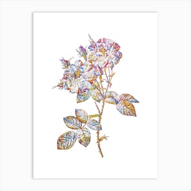 Stained Glass White Damask Rose Mosaic Botanical Illustration on White n.0227 Art Print