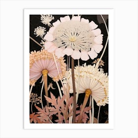 Flower Illustration Queen Annes Lace 8 Art Print