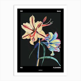 No Rain No Flowers Poster Amaryllis 4 Art Print