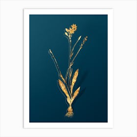 Vintage Gladiolus Junceus Botanical in Gold on Teal Blue n.0258 Art Print