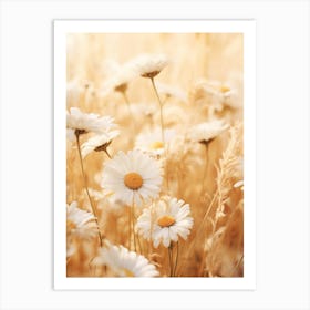 Boho Dried Flowers Oxeye Daisy 2 Art Print