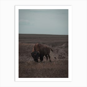 South Dakota Wildlife Art Print