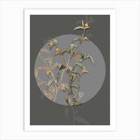 Vintage Botanical Commelina Africana on Circle Gray on Gray n.0081 Art Print