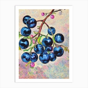 Black Currant 1 Vintage Sketch Fruit Art Print