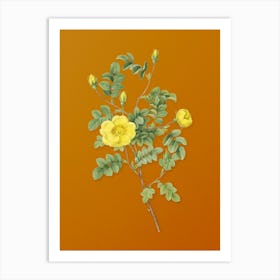Vintage Yellow Sweetbriar Rose Botanical on Sunset Orange n.0939 Art Print