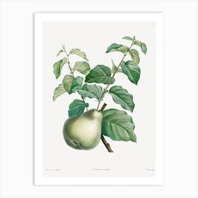 Pear Fruit, Pierre Joseph Redoute Art Print