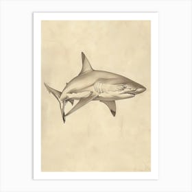 Dogfish Shark Vintage Illustration 7 Art Print