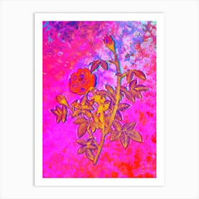 Moss Rose Botanical in Acid Neon Pink Green and Blue Art Print