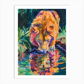 Southwest African Lion Drinking From A Watering Hole Fauvist Painting 1 Poster