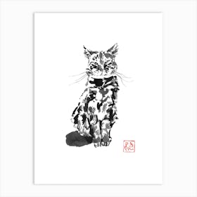 Suspicious Cat Art Print