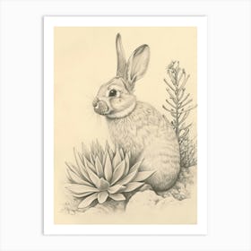 Satin Rabbit Drawing 3 Art Print