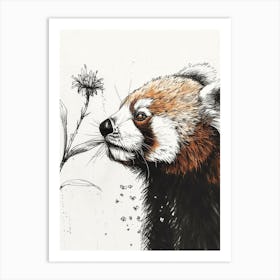 Red Panda Sniffing A Flower Ink Illustration 2 Art Print