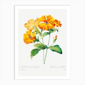 Lychnis Grandiflora, Pierre Joseph Redouté Art Print