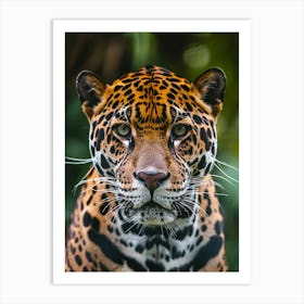 Jaguar Art Print