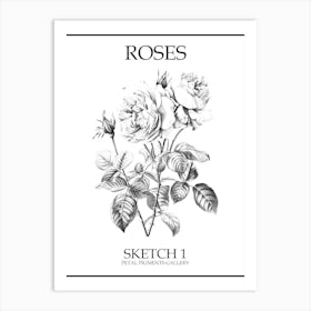 Roses Sketch 1 Poster Art Print