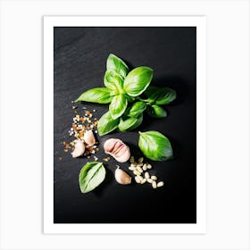 Garlic and basil (Italian, Spanish cuisine) — Food kitchen poster/blackboard, photo art Art Print