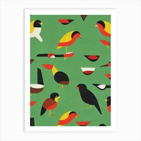 Baldpate Midcentury Illustration Bird Art Print